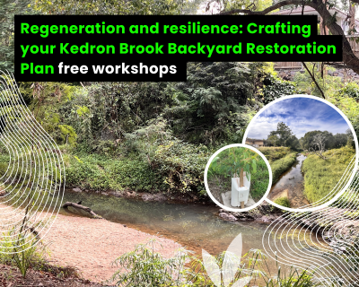 Our free workshop series is here