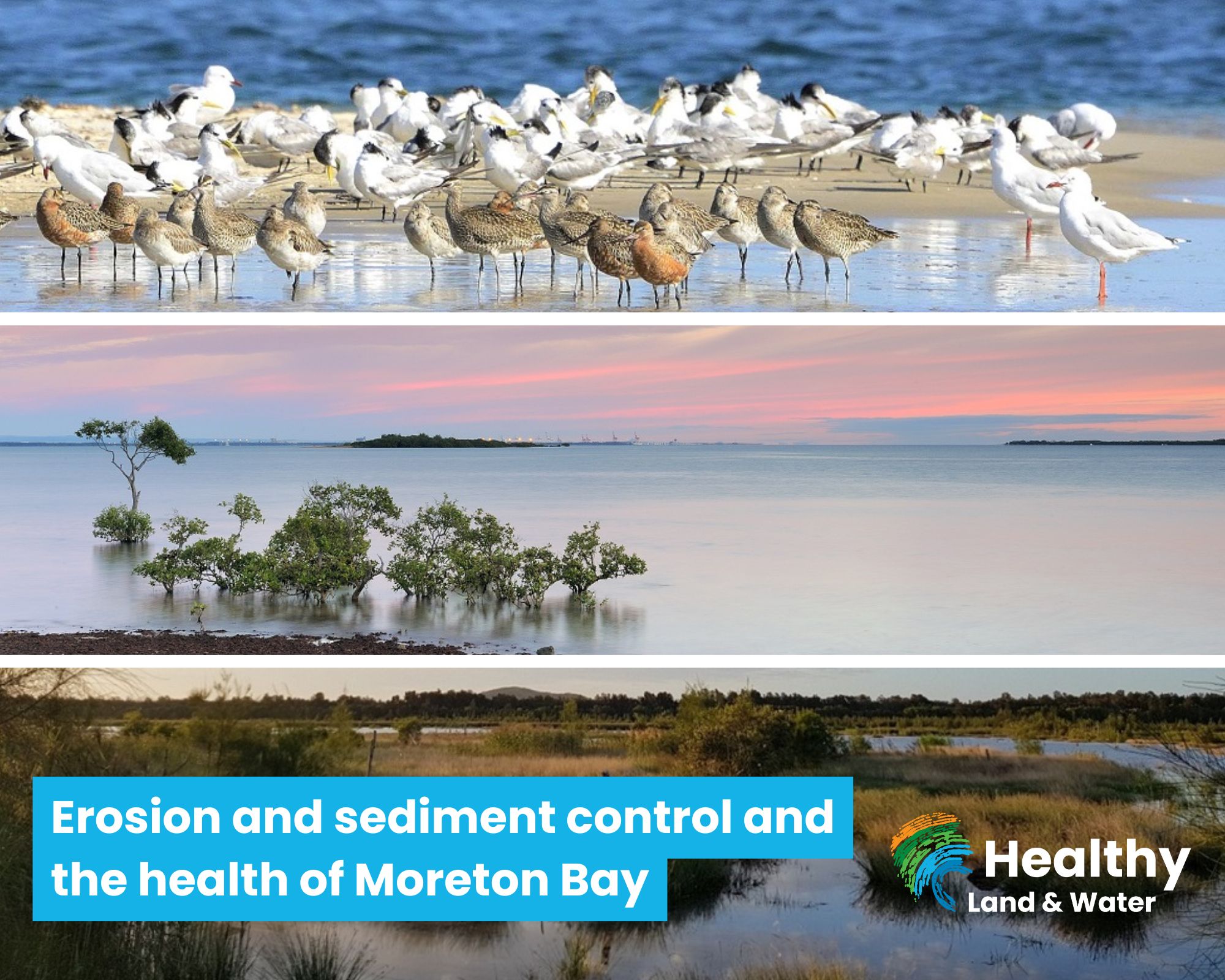 Erosion and sediment control (ESC) and the health of Moreton Bay