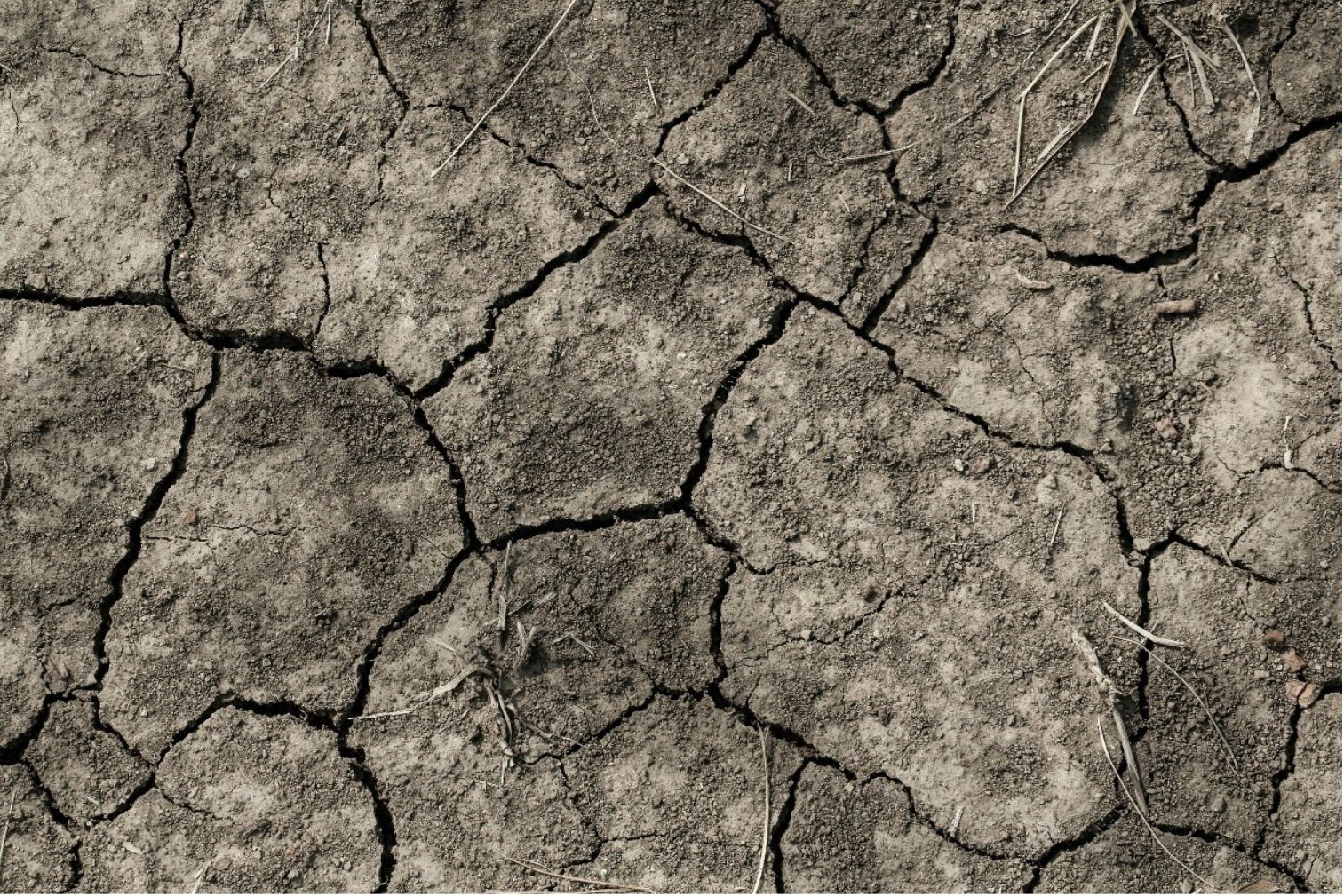 El Niño has officially been declared: how can SEQ prepare?