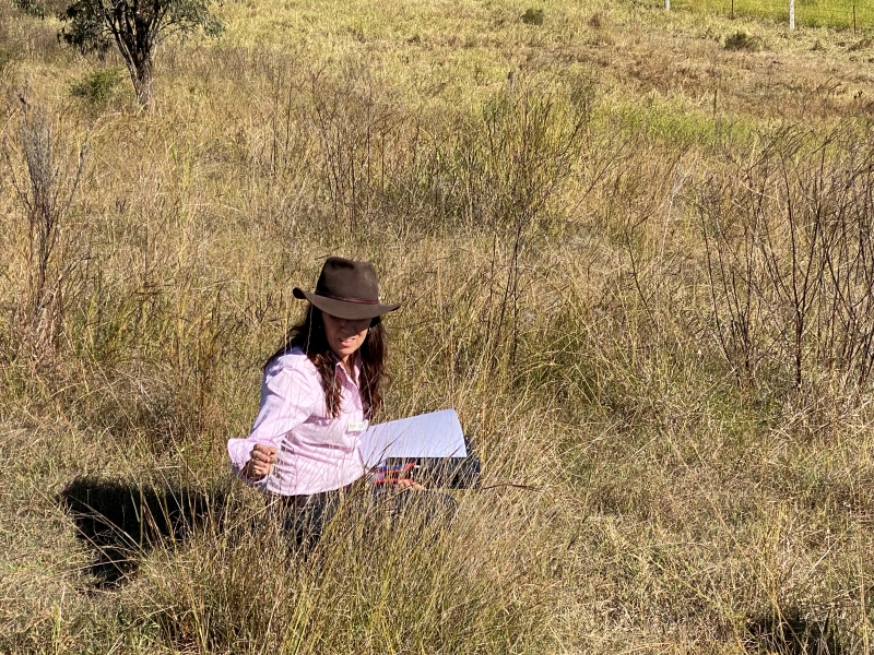 A new Drought Node opening for SEQ: So farmers won't be left high and dry!