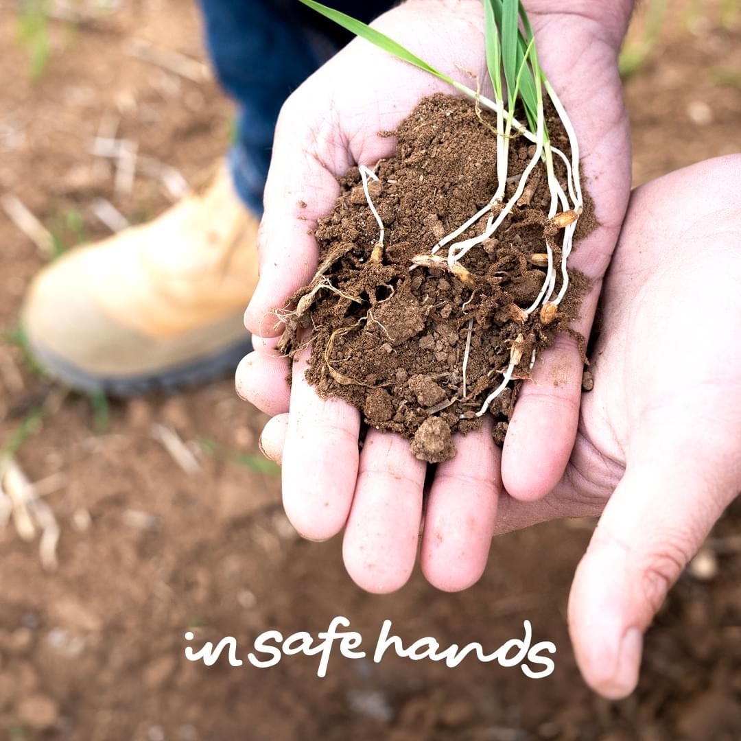 Farmsafe Australia launched the ‘In Safe Hands’ Campaign alongside the release of 2024 Safer Farms Report