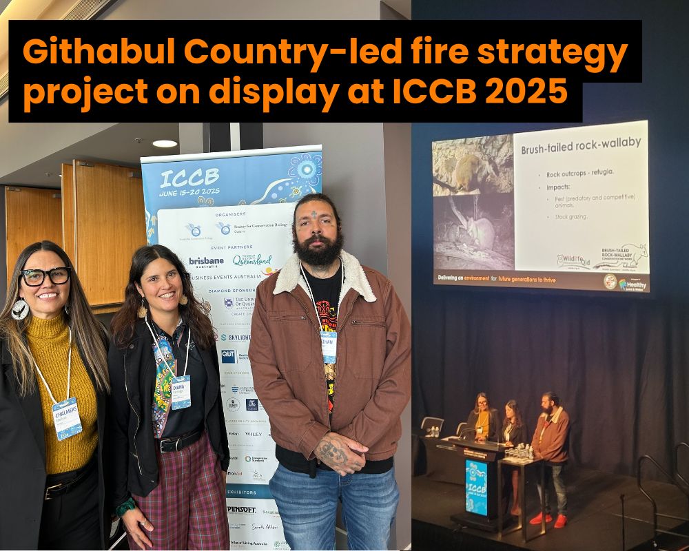 Caring for Country: Building a Fire Management Strategy on Githabul Country