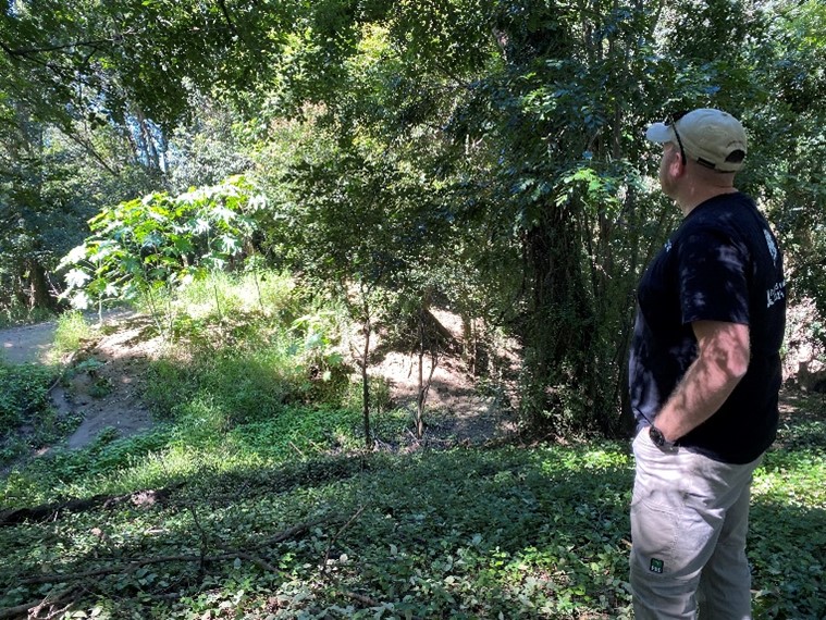 6.Cobba looking at vegetaiton