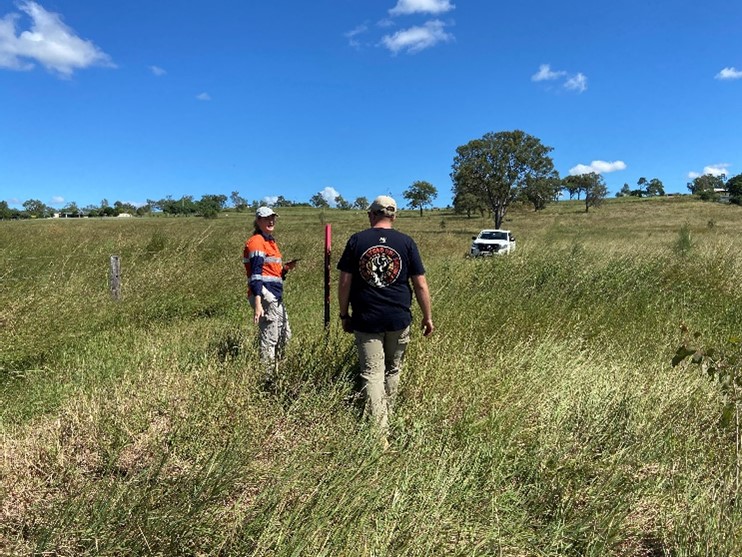 9.Cobba on koala site