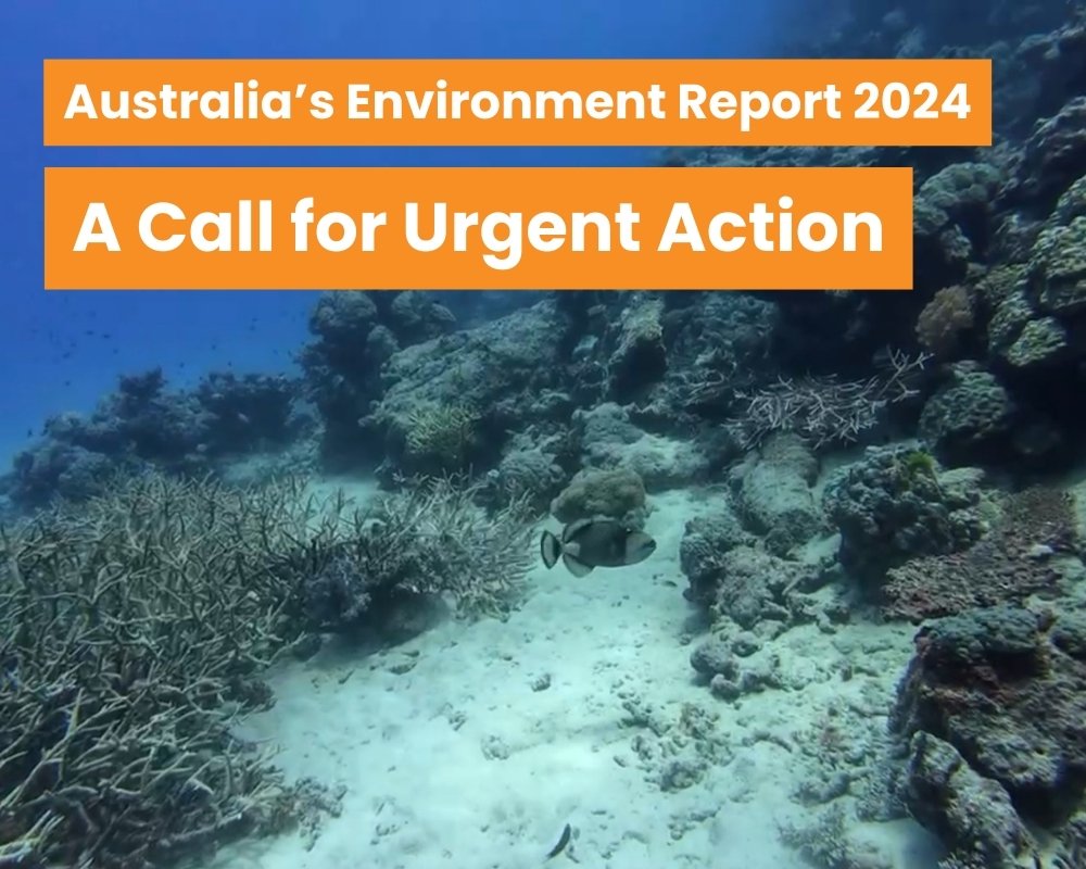 Australia’s Environment Report 2024: A call for urgent action