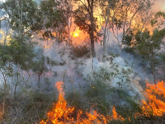 Bushfire in a park in QLD