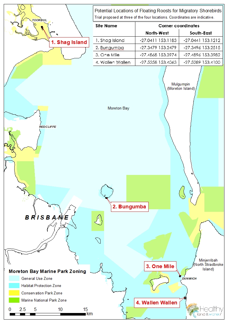 Floating roost trial for shorebirds in Moreton Bay