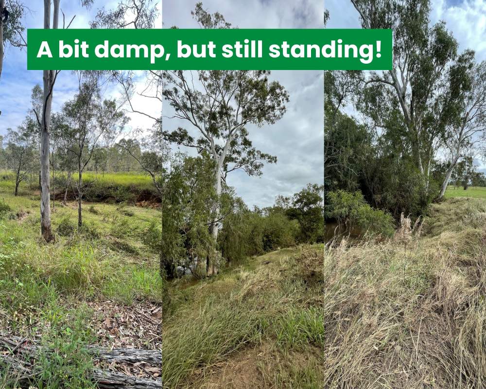 Flood tested learnings Indisml