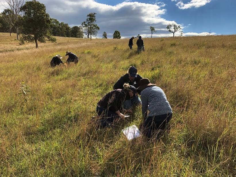Grazing Best Management Program receives extra funding