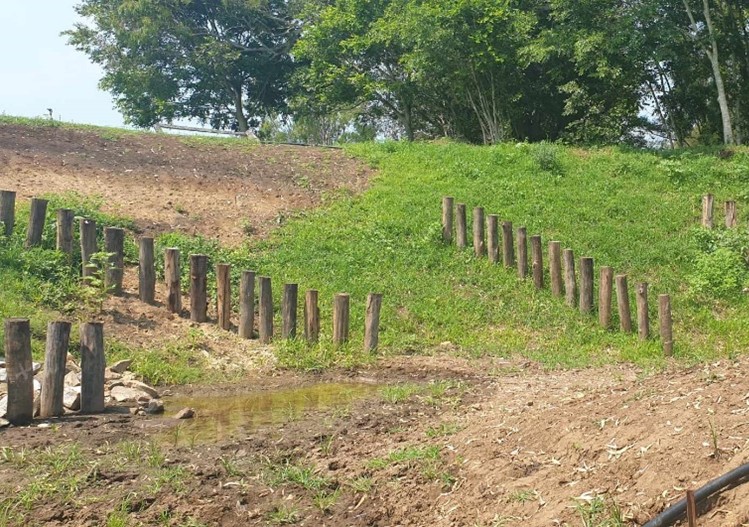 Healthy catchments 6