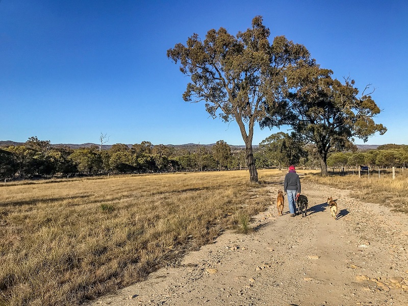 Helping farmers prepare for drought: new program announced for South East Queensland