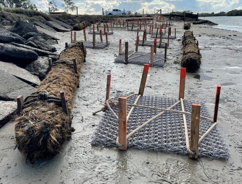 logs and bese structures together
