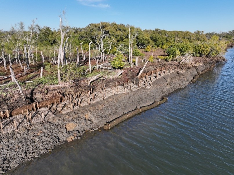 logs and bese structures together from far