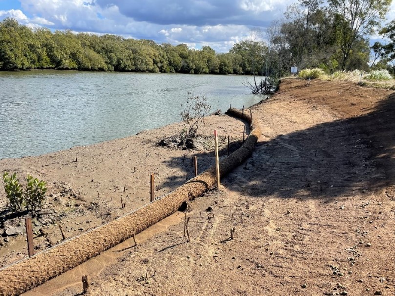 logs and battered riverbank 2