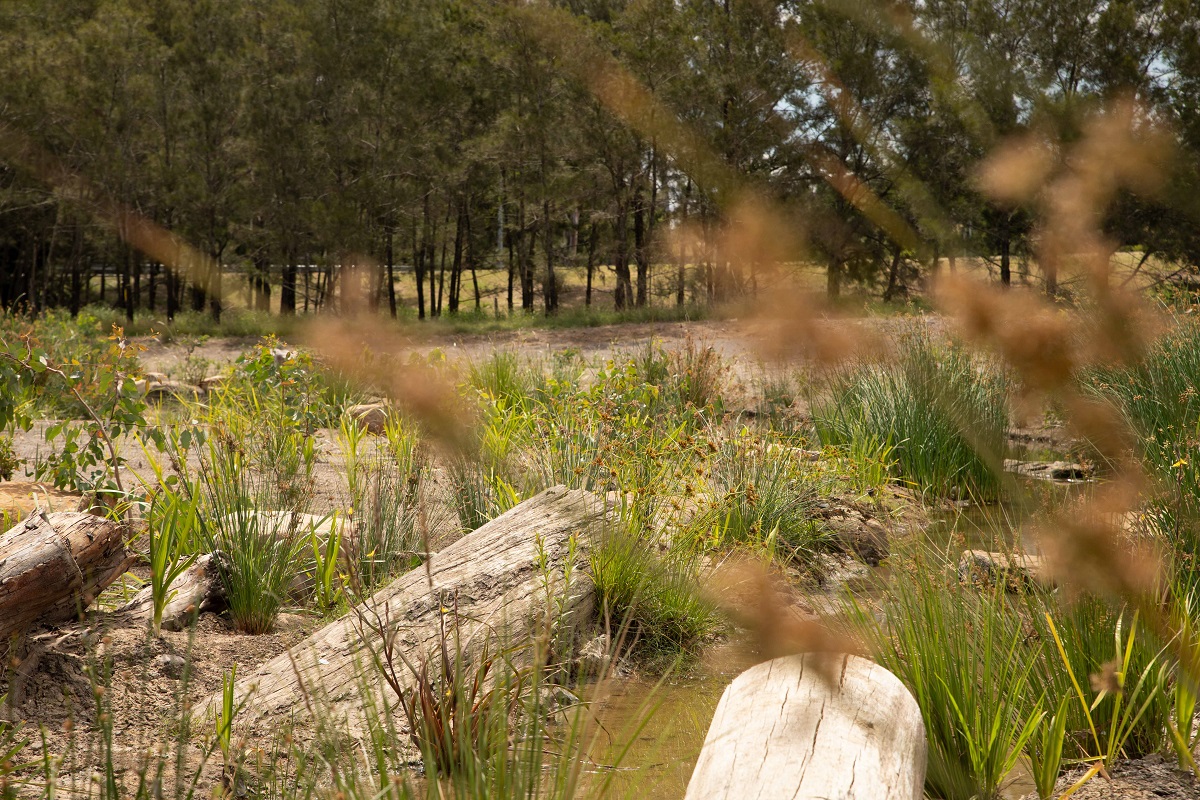 Makeover to Small Creek boosts Bremer River health