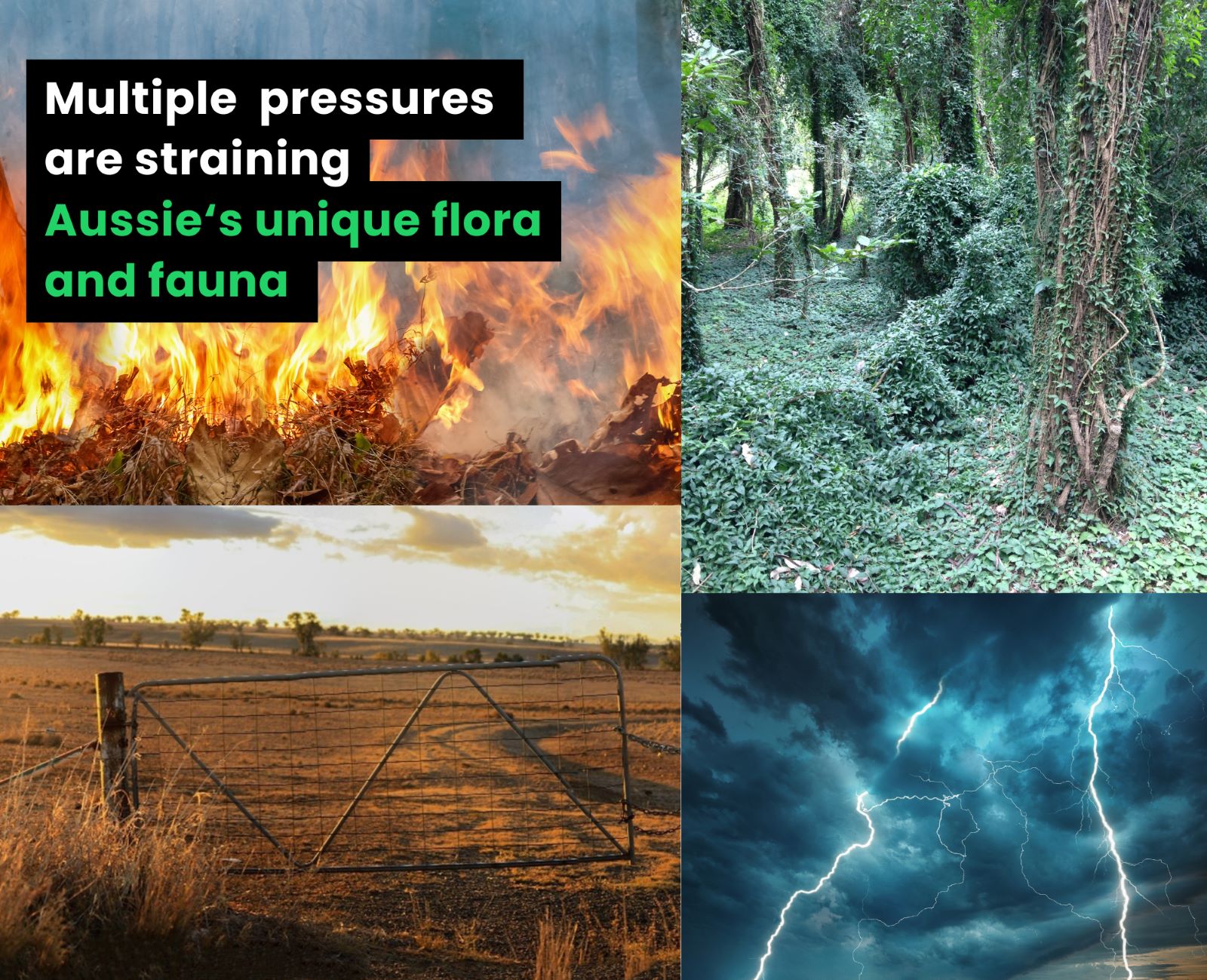 Multiple pressures no logo