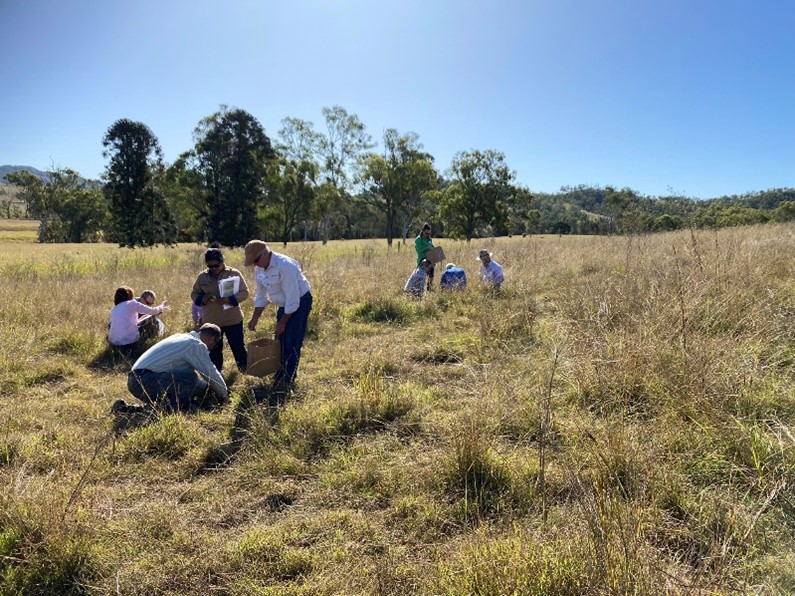 5.Cobba cats claw site