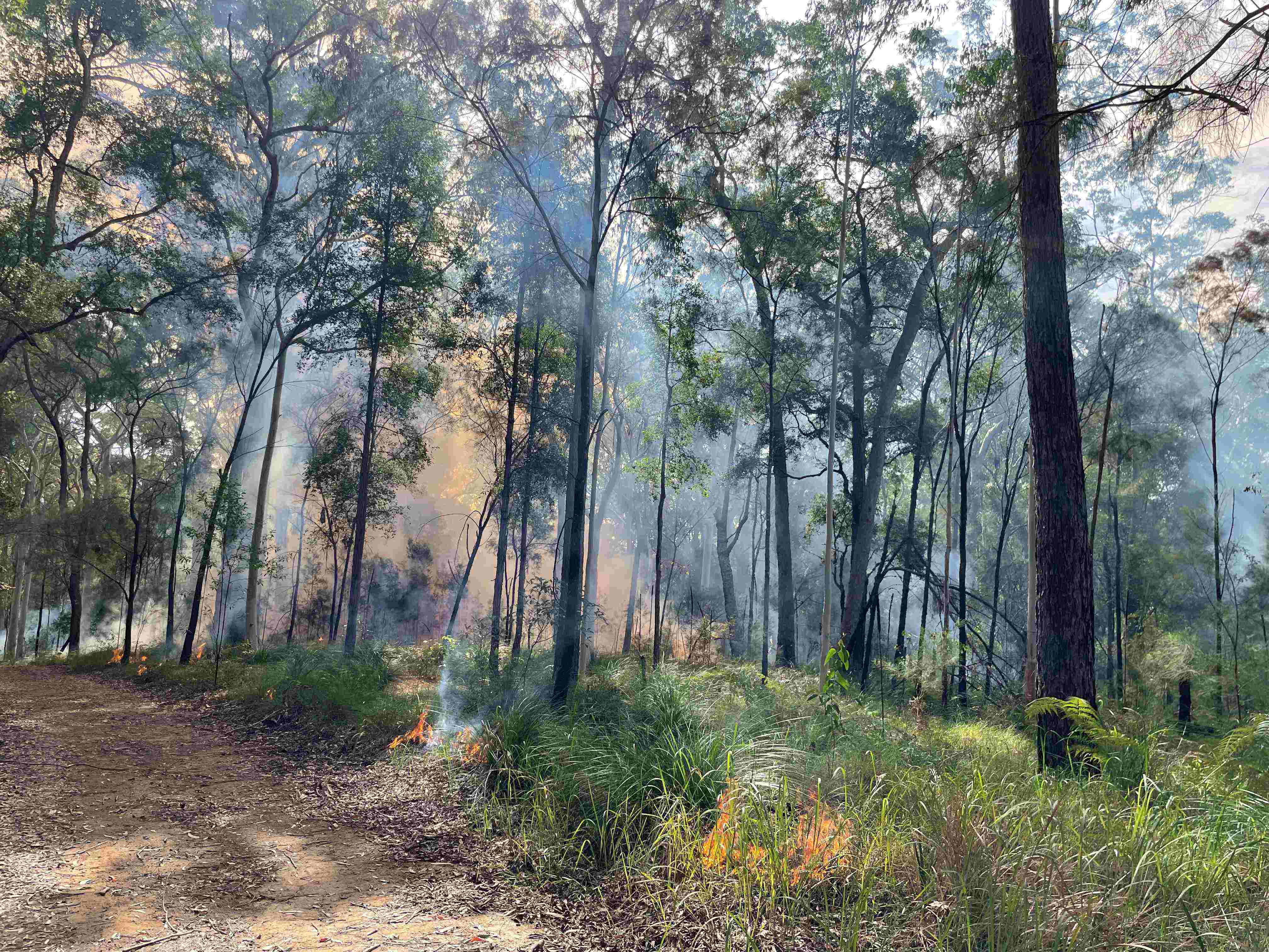 Planned burns underway