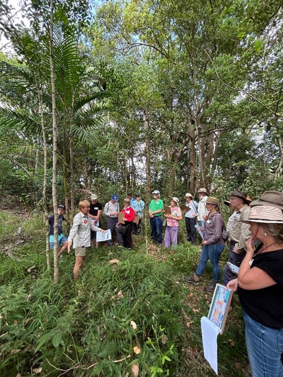 Sparks of participation 1