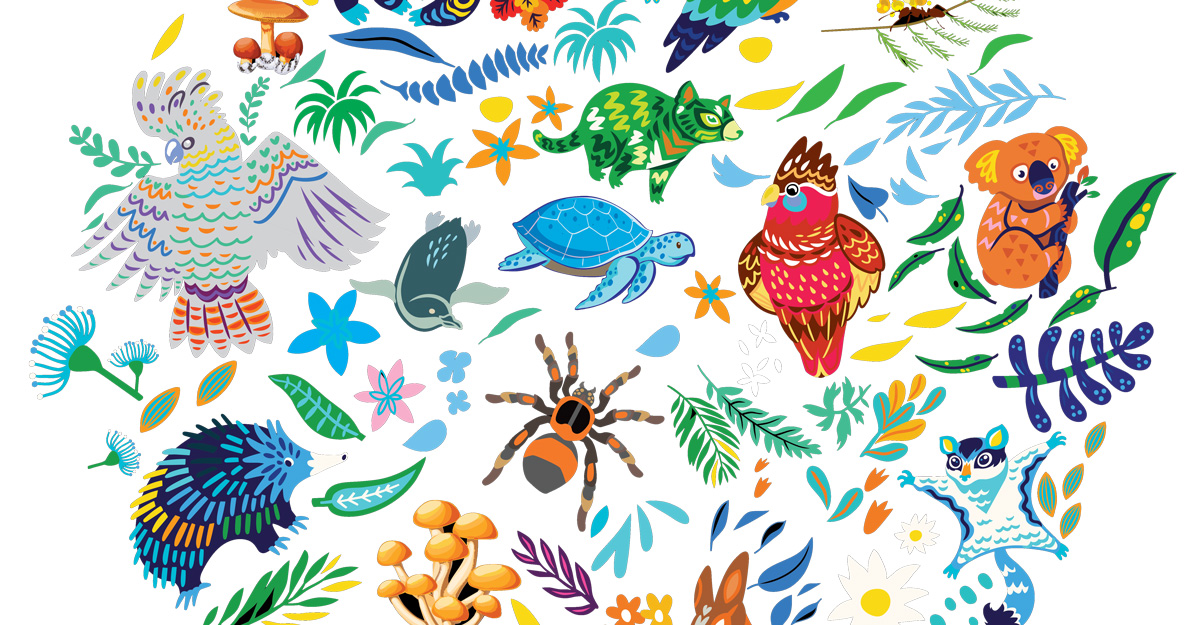 Small things that you can do to help biodiversity thrive!