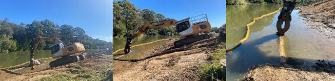 positioning rocks and logs