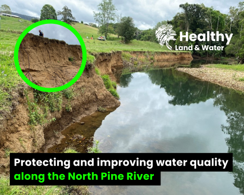 Safeguarding South East Queensland's water future along the North Pine River