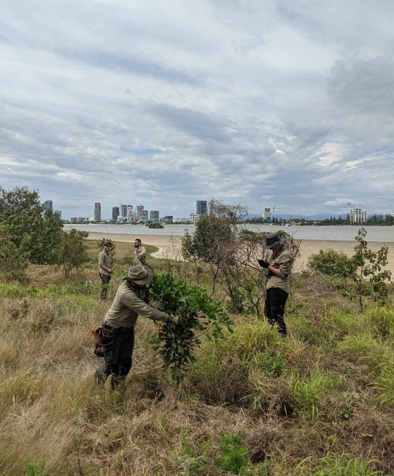 Talks with stakeholders at Curlew Island event 2