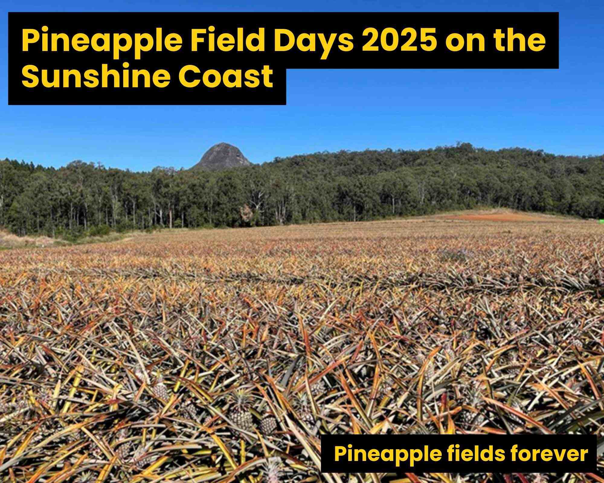 Healthy Land & Water team attend annual Pineapple Field Days 2025