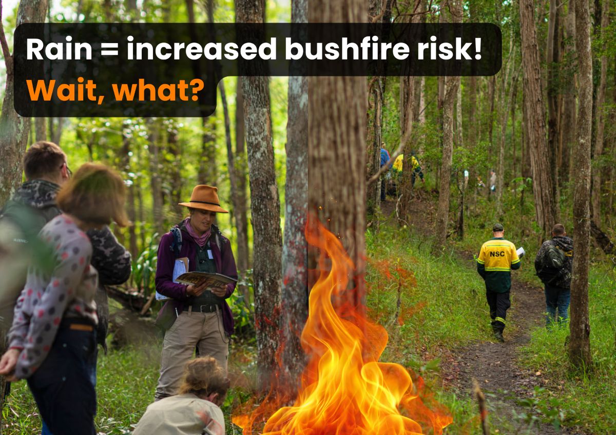 Don't be fooled: wet weather actually increases bushfire risk in SEQ