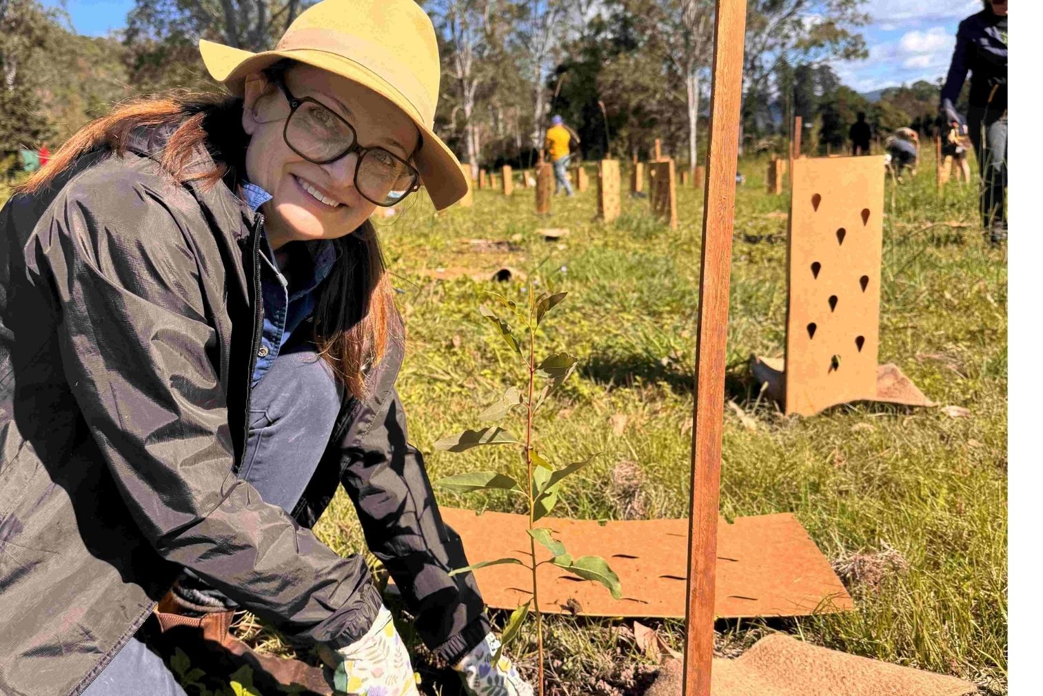 Community unites to restore critical koala habitat at Tuan Environment Reserve 