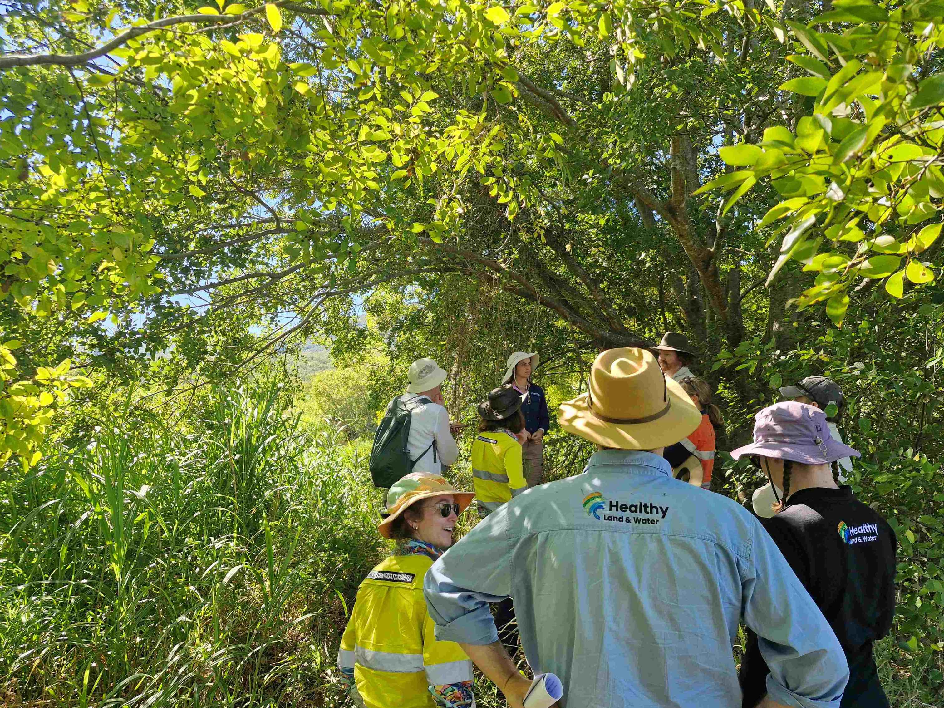 Improving the ways we measure streambank recovery 