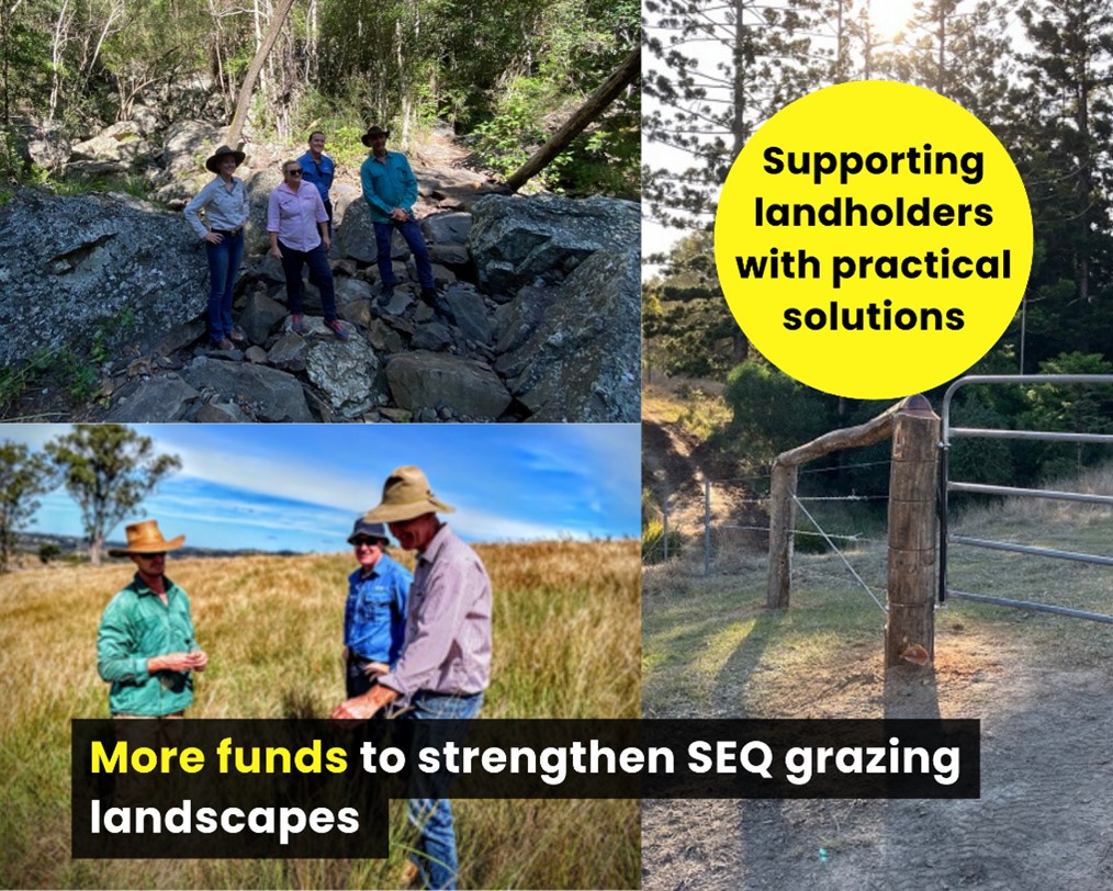 More funding to strengthen SEQ grazing landscapes for the long haul