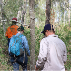 Scientists walking in the bush