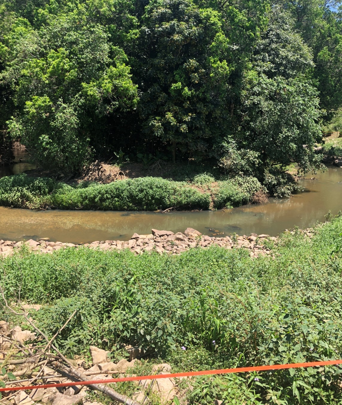 bellmere restoration site