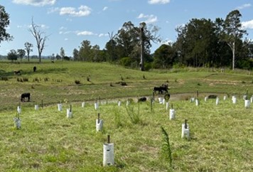 Mid Brisbane Partnerships Program