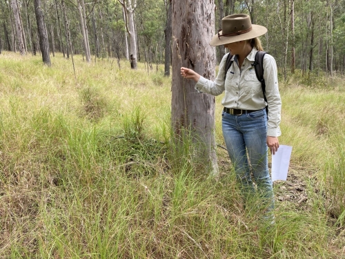 Photo of Margie at Yandina Creek Wetlands assessing water condition
