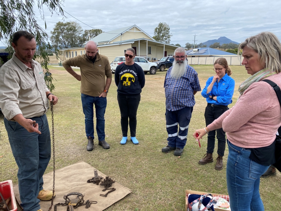 Peak Crossing workshop