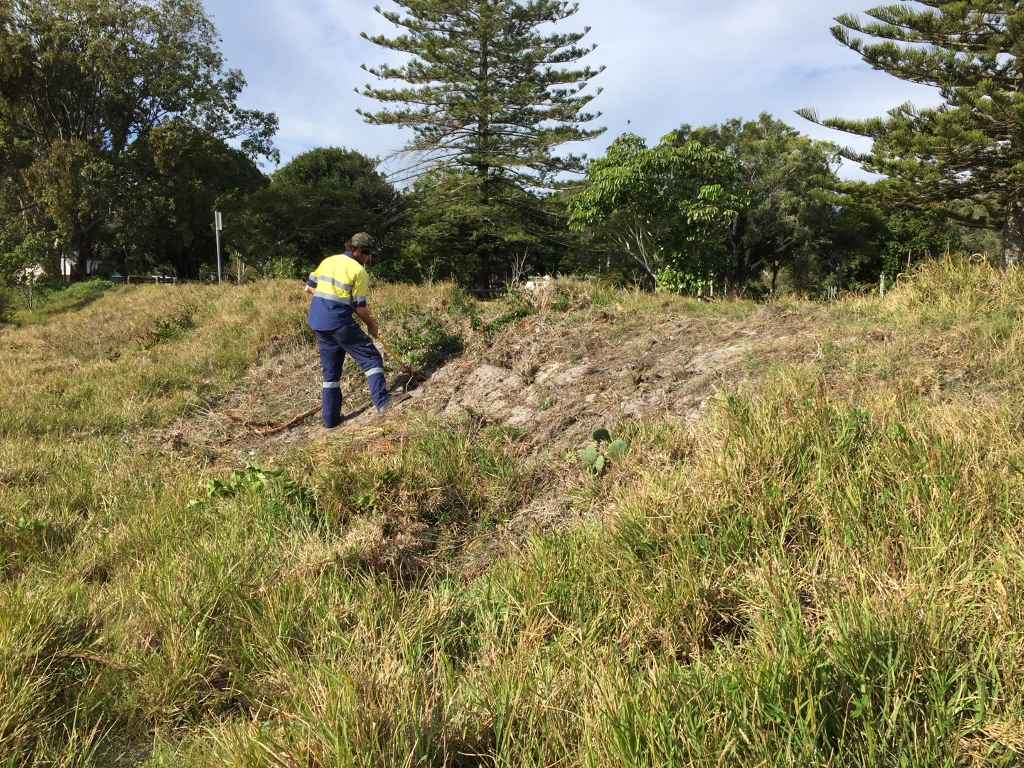 QYAC volunteer works in the bush
