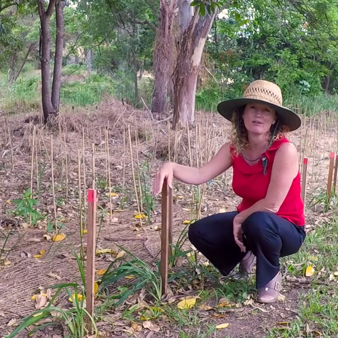 Davidson Street | NEWMARKET